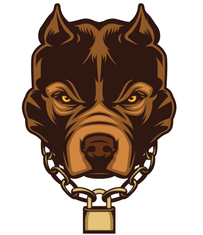 Pitbull Dogs Information